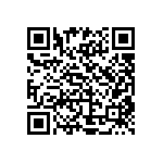 TNPV12061M00BEEN QRCode