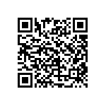 TNPW04022K55BEED QRCode