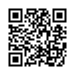 TR0935510000G QRCode