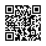 TRD13F10WL04 QRCode