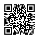 TS391RILT QRCode