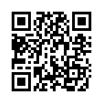 U19 QRCode