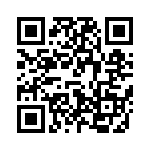 V110A28T300B QRCode