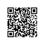 V110A3V3C200BN2 QRCode