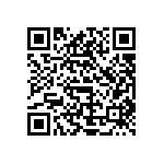 V110B3V3T100BG2 QRCode