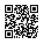 V110C28T100BS2 QRCode