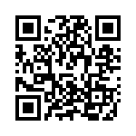 V20H300P QRCode