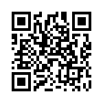 V20H40P QRCode