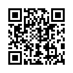 V20P17AUTO QRCode