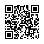 V24A12T300B QRCode