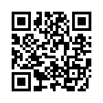 V24A48T300BS3 QRCode