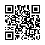 V24C15T100B3 QRCode