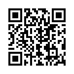 V24C24T100BG QRCode