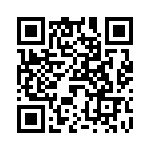 V28A5T175B3 QRCode