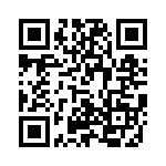 V28C28H100BG2 QRCode