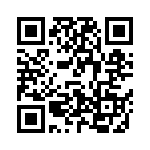 V300A28T400BG2 QRCode