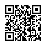 VE-2NT-IV-F4 QRCode