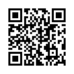 VE-2T2-IV-B1 QRCode