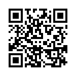 VE-B3J-IV-B1 QRCode