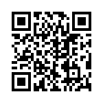 VE-B3T-IV-B1 QRCode