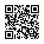 VG95234A181PN1 QRCode