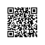 VG95234B1-16-10SN QRCode