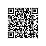 VG95234B1-16-10SX QRCode