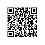 VG95234B1-24-11SN QRCode