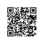 VG95234B1-24-28PY QRCode