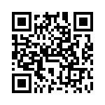 VG95234D181SN QRCode