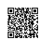 VG95234E-24-11P1N QRCode