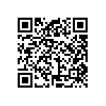 VG95234N1-28-22SW QRCode