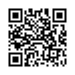 VI-22J-IX-F4 QRCode