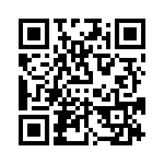 VI-2T3-IX-B1 QRCode