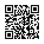 VI-2T4-IX-B1 QRCode