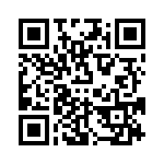 VI-B12-EX-B1 QRCode