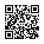 VI-B1P-EY-B1 QRCode