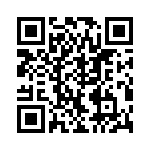 VI-B1T-IV-S QRCode