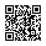 VI-B1T-IX-B1 QRCode