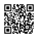 VI-B3H-EY-B1 QRCode