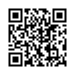 VI-B3Y-EV-B1 QRCode