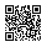 VI-B6P-IX QRCode