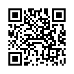 VI-J3R-IX-B1 QRCode