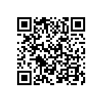 VJ0402D1R3DLBAC QRCode