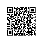 VJ0402D4R3CLBAJ QRCode