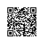 VJ0805D300JXPAP QRCode