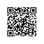 VJ1206A300KBGAT4X QRCode