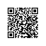 VJ1206A510KBCAT4X QRCode