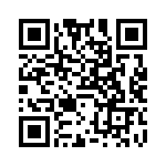 VP4032K251R020 QRCode