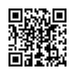 W681307DG QRCode